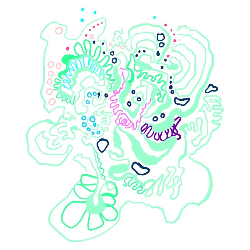 Coral Map / Floral Pattern