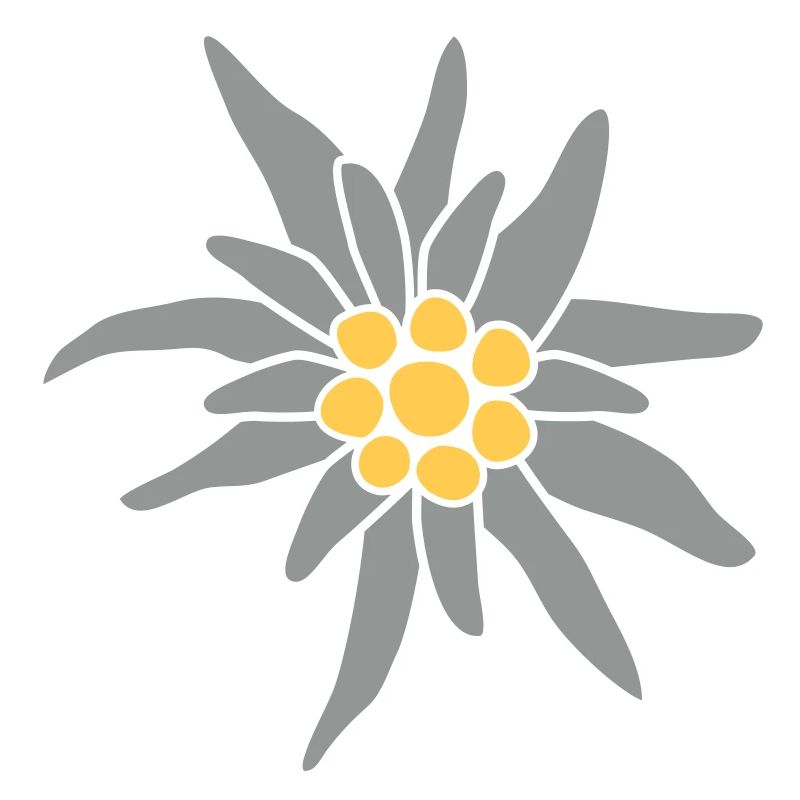 Edelweiss fleur