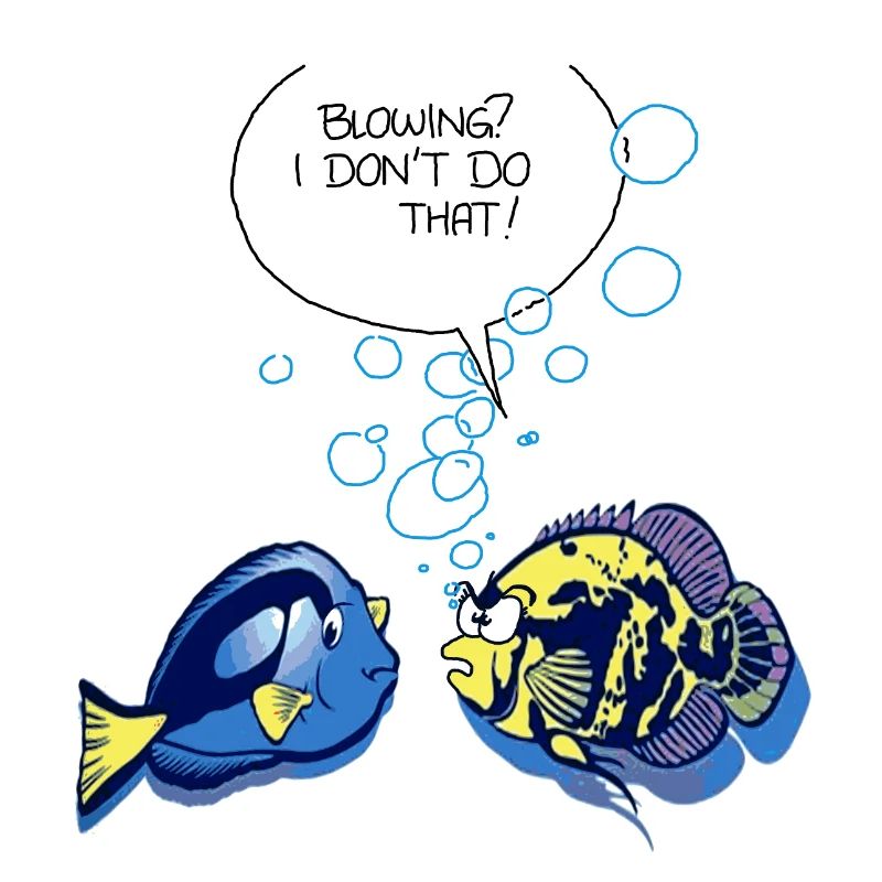 Fish Blowing