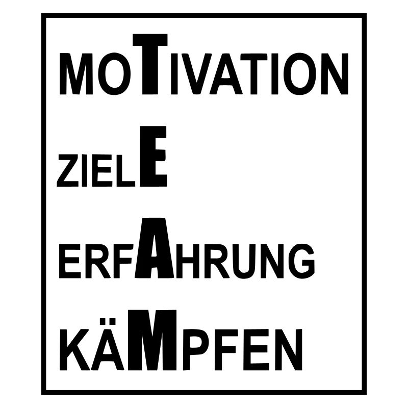 Team Motivation Goals Experience Fighting