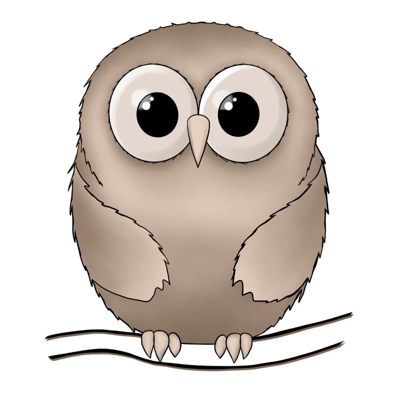 owl