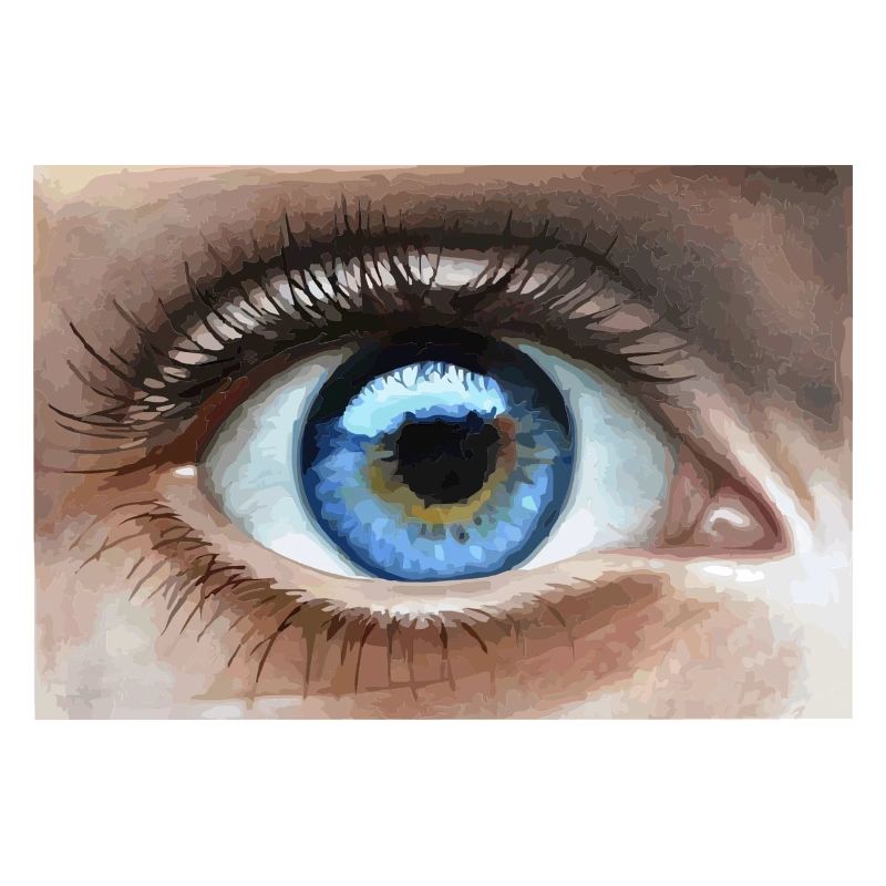 œil