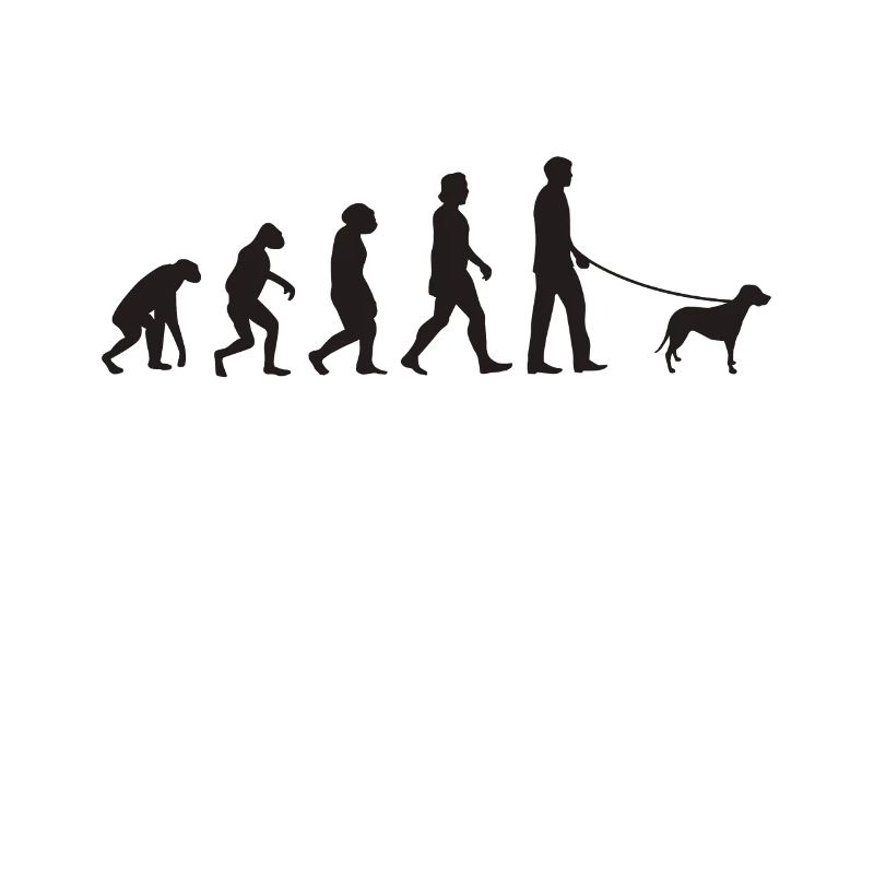 Brandlbracke Evolution Bracke chien de chasse