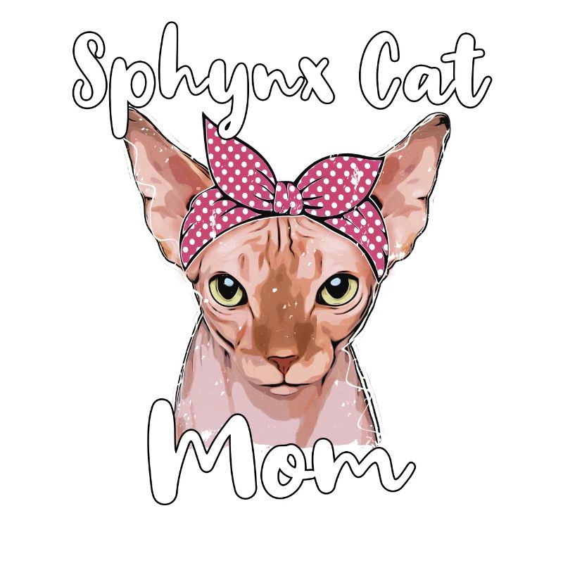 Sphynx Chat Maman Sphynx Chat