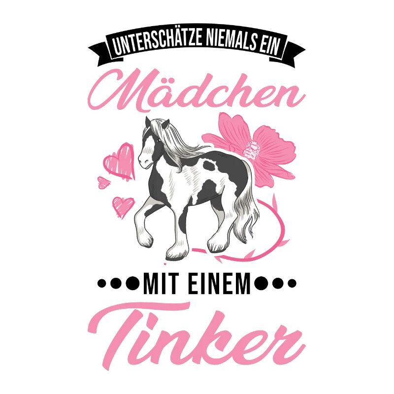 Irish Tinker Pferd Mädchen Tinker