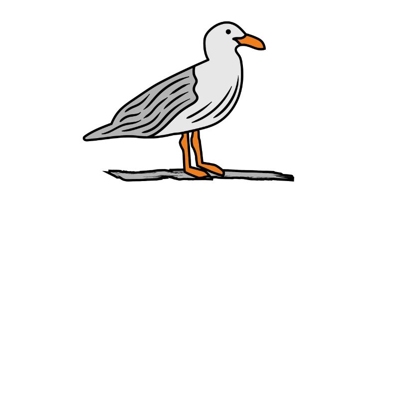 Möwe auf Stein