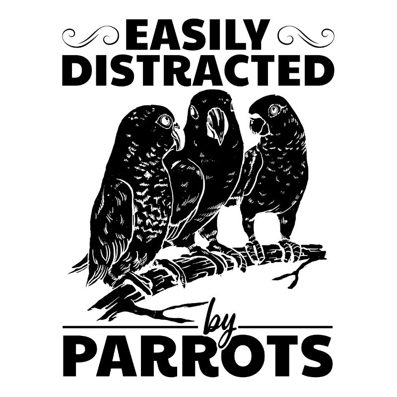 Parrot bird I easily get from parrots