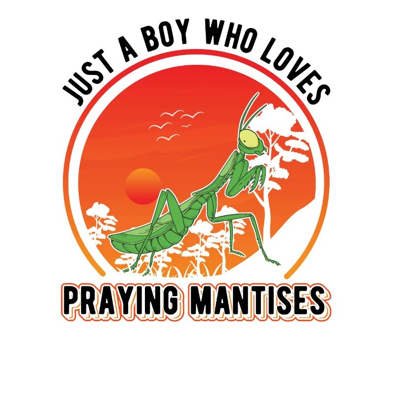 Gottesanbeterin Junge Mantis Fangschrecke