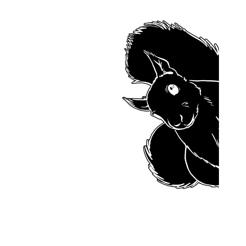 Squirrel — Funny squirrel, cute