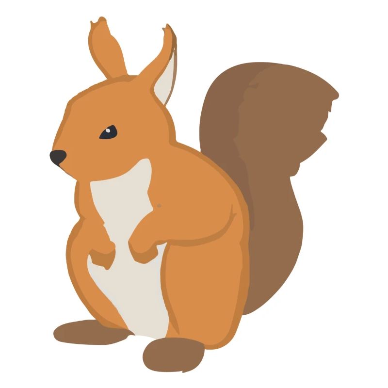 Eichhörnchen Illustration Geschenkidee