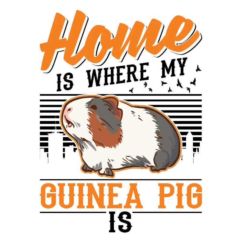 Cochons d’Inde à la maison Cochon d’Inde