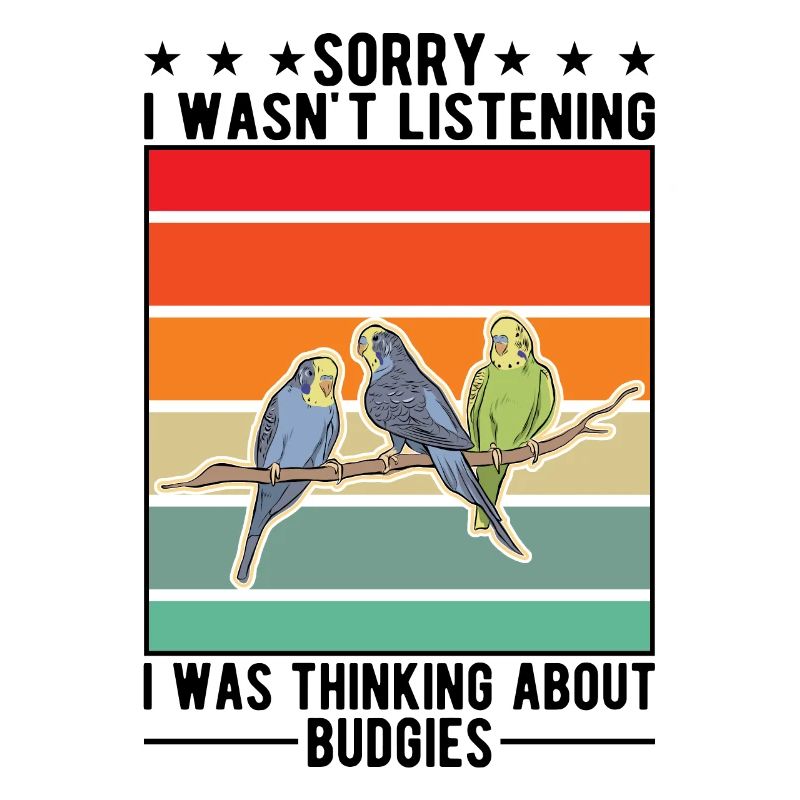 Budgerigar Cadeau Welli Perruche