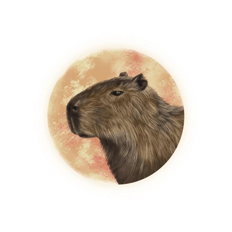 Capybara Moon