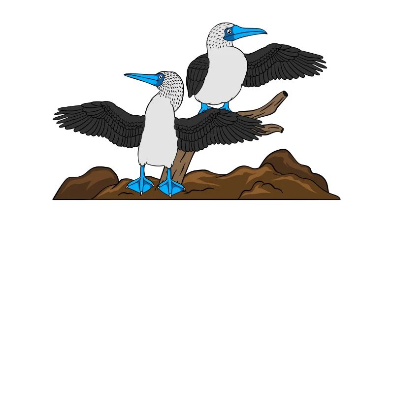 Galapagos Islands