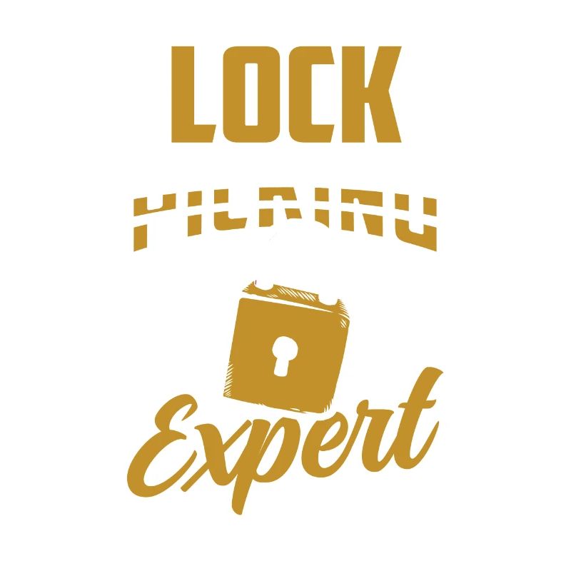 Lockpicking Expert Cracking Lock Lock Picking