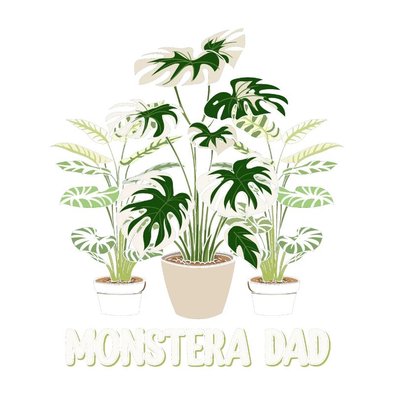 Papa Monstera
