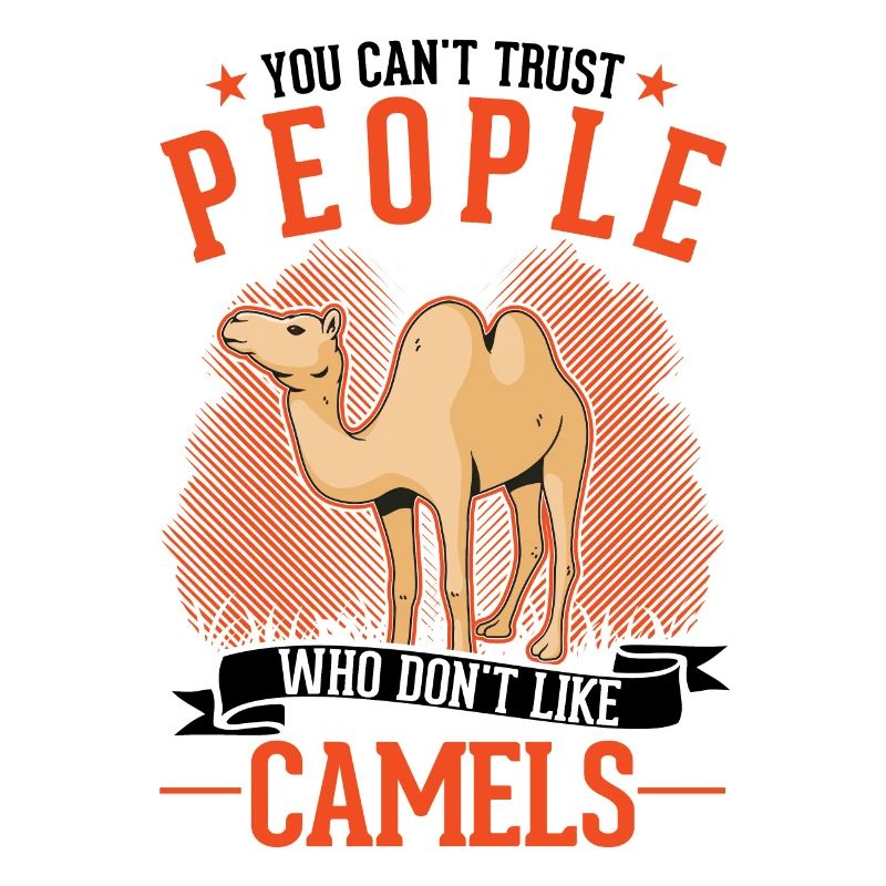 Kamel Dromedar Ägypten Geschenk Großkamel