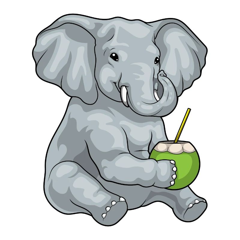 Éléphant Noix de