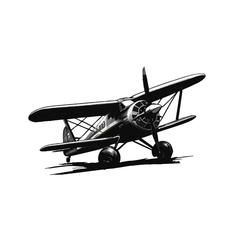 Model Airplane Pilot Flight Hobby Flyer