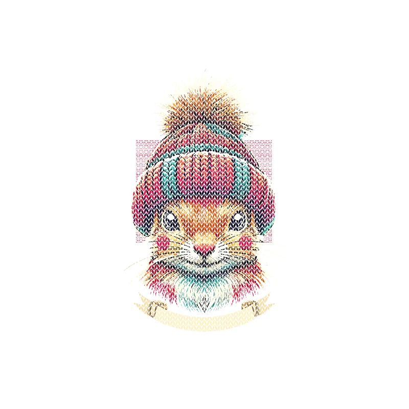 Winter squirrel with cap