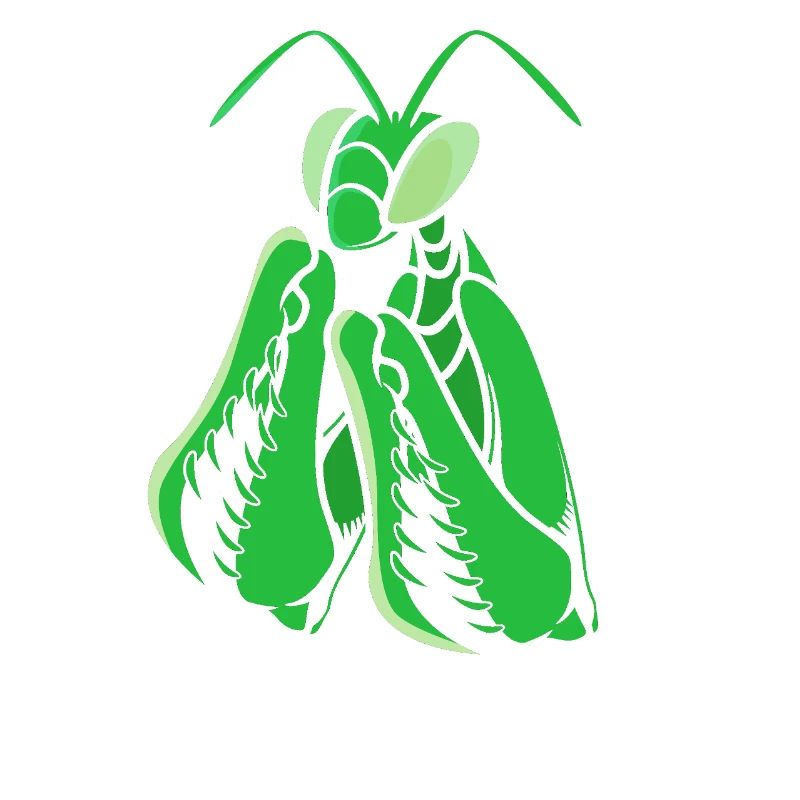 Gottesanbeter Gottesanbeterin Mantis