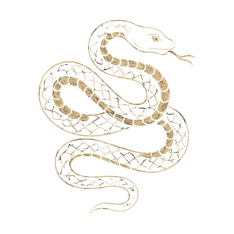 Golden Snake Net Pattern