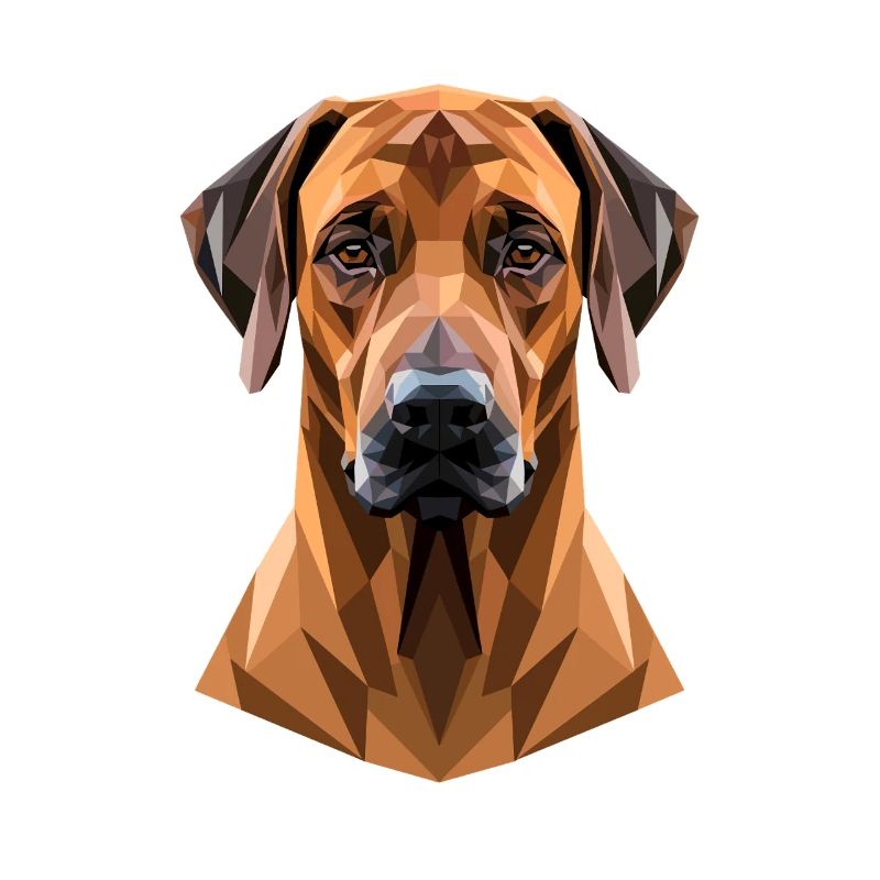 Rhodesian Ridgeback Jagdhund Hunde Stolz Ridgeback