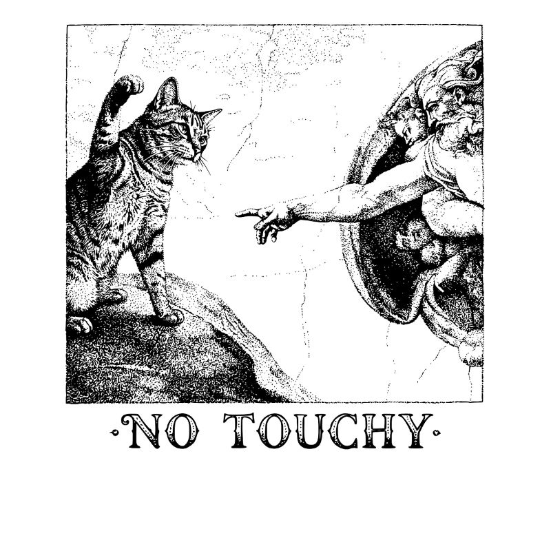 Pas de chat tactile – La création d’Adam