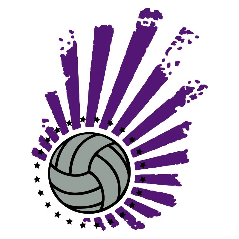 Conception de volleyball (Stars)
