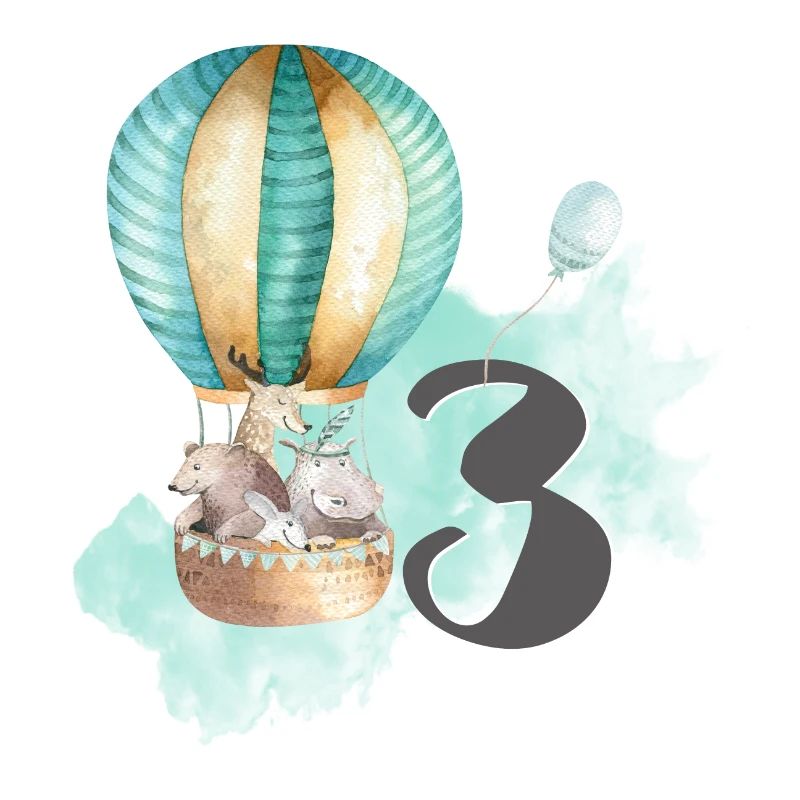 3rd birthday, third, three, hot air balloon boho