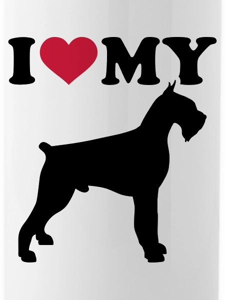 schnauzer géant