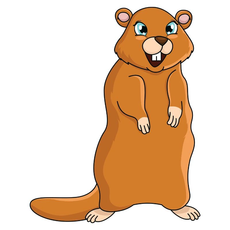 Marmotte