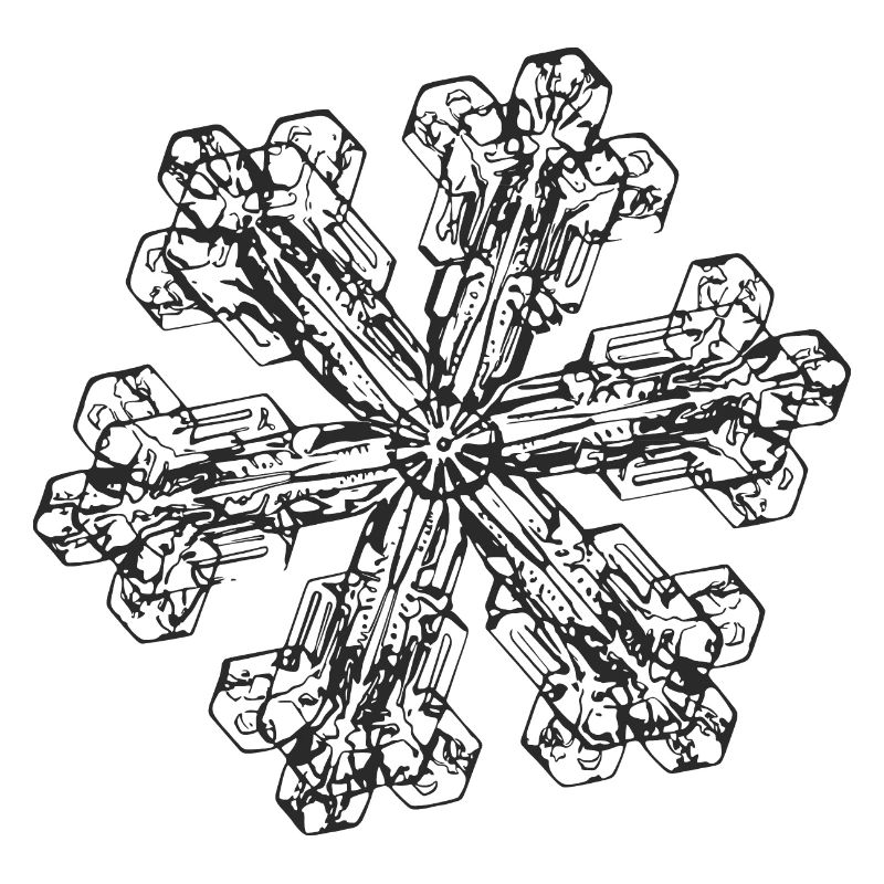 snowflake 3 black