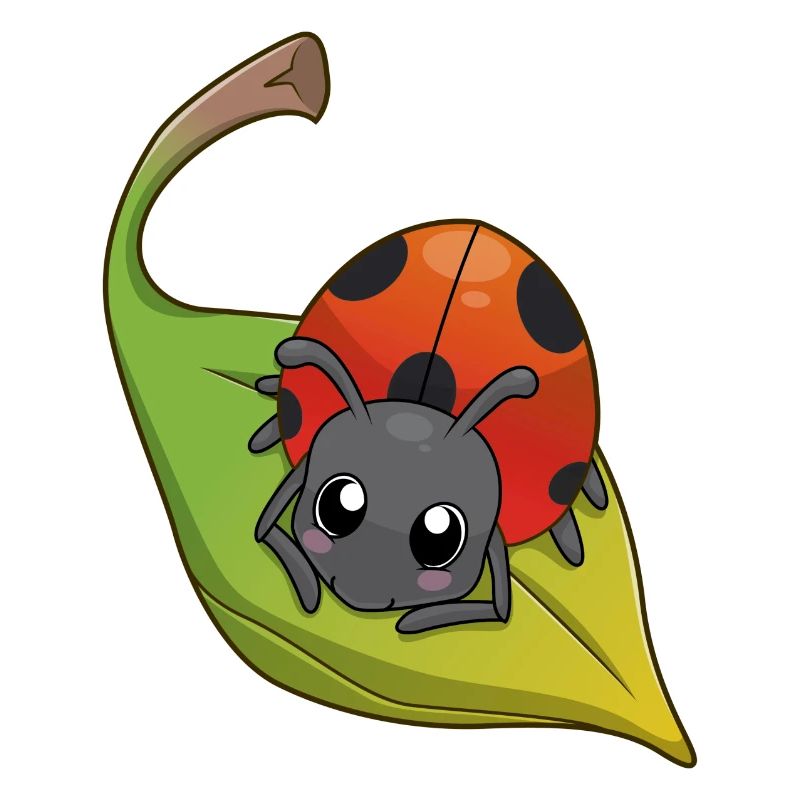 Ladybug - Marienkäfer