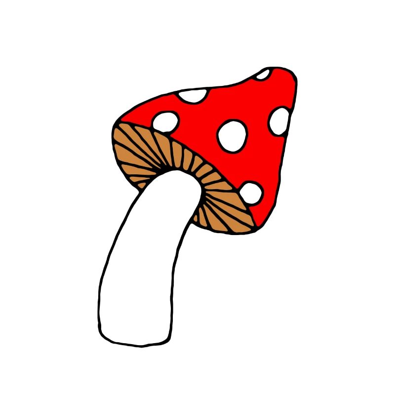 Toadstool