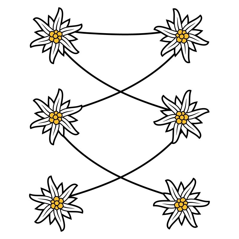 Dirndl apron Edelweiss