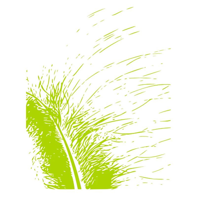Abstract feather / line / green / pattern