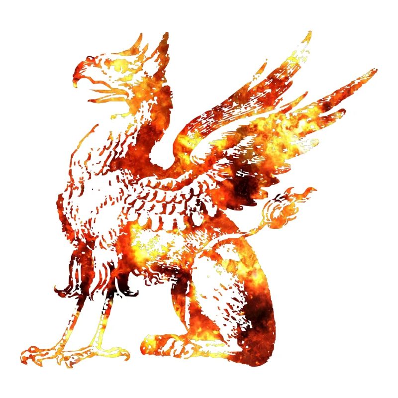 Drache