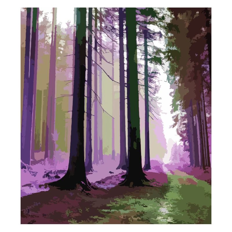 Haunted Cloud Forest