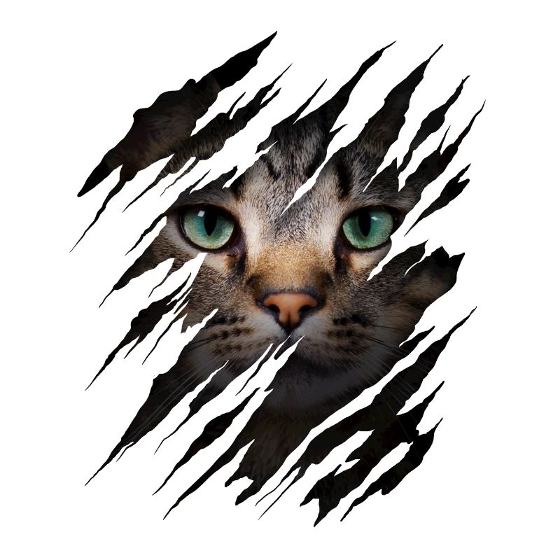 Cat with scratch - Cat face Scratch Cat