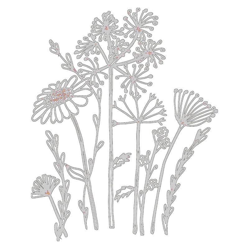 Fleurs séchées