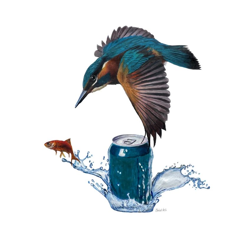 Eisvogel