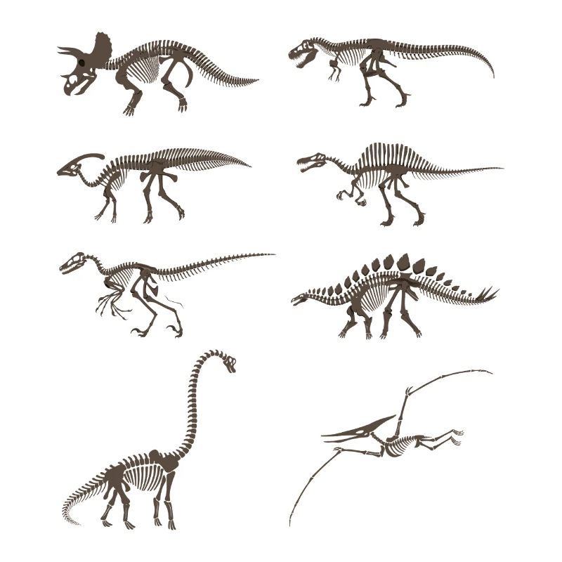 Vintage Dinosaur Skeleton