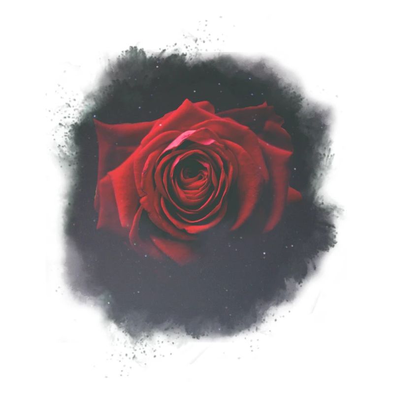 Galaxy Rose