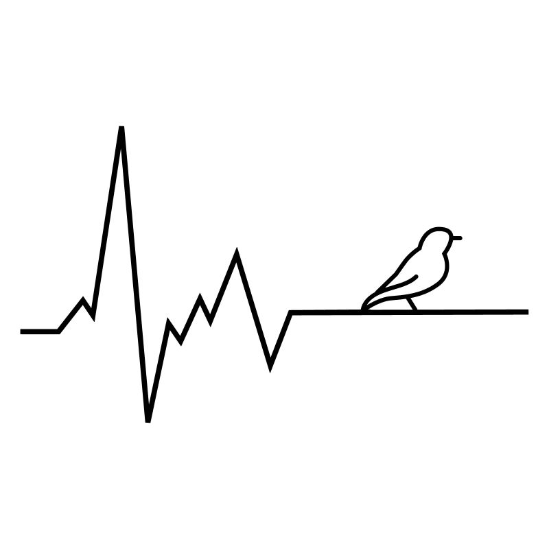 heartbeat budgerigar