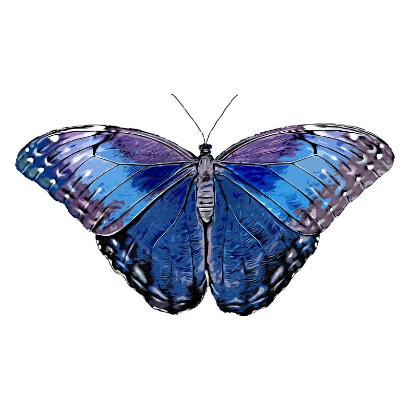 Butterfly - blue