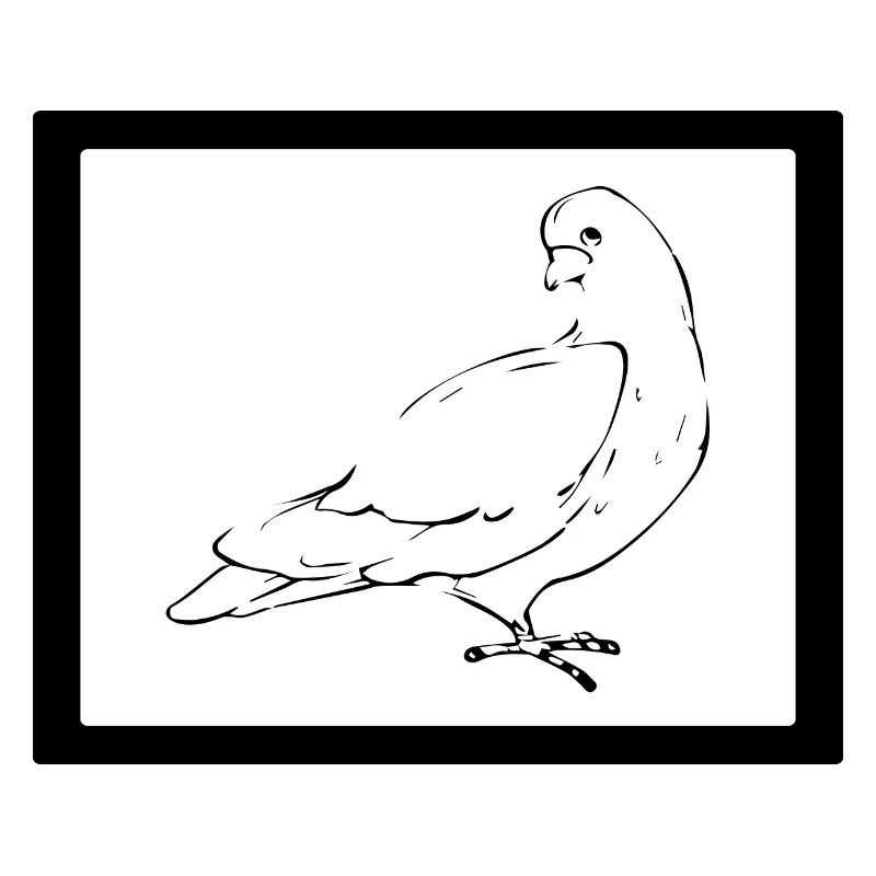 Bird Vogel