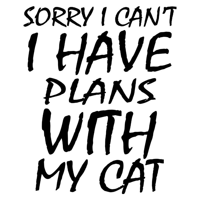 Chat Katze