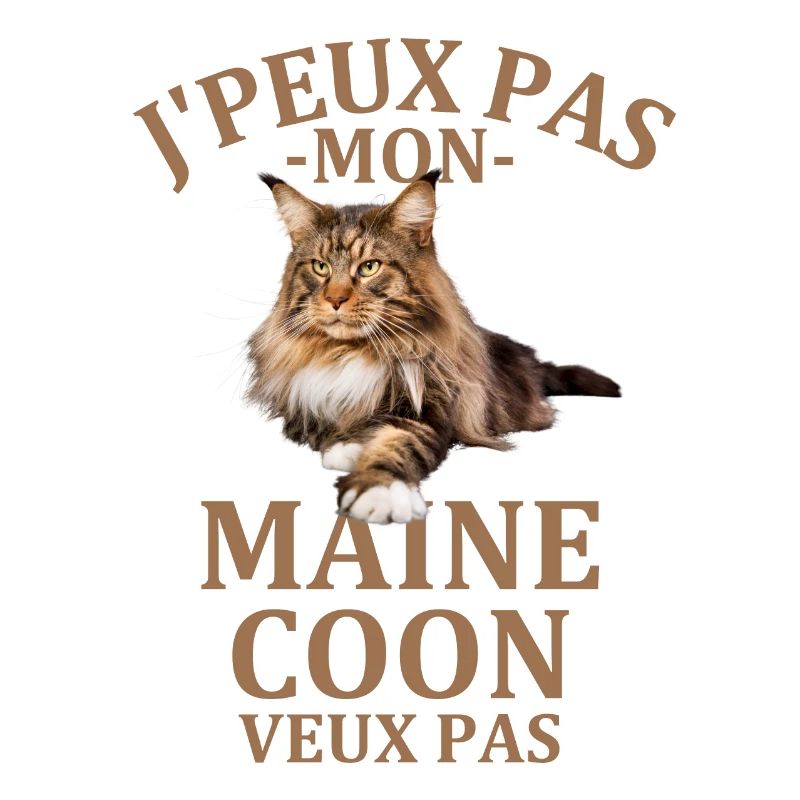 Chat mignon Maine coon