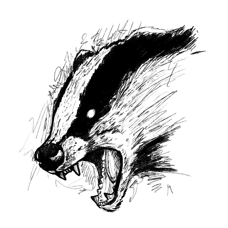 Badger